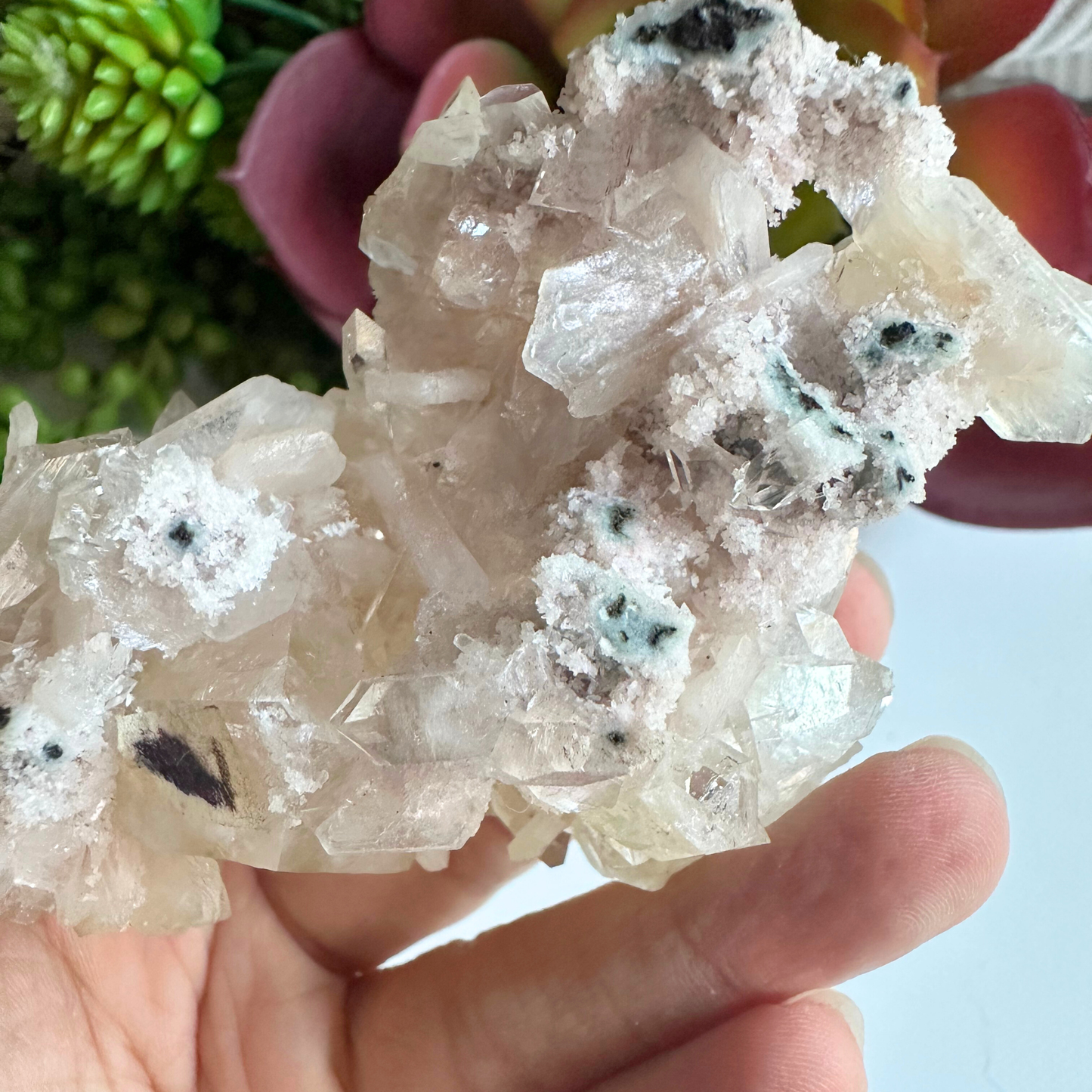 Large Point Clear Apophyllite DT Crystal Cluster