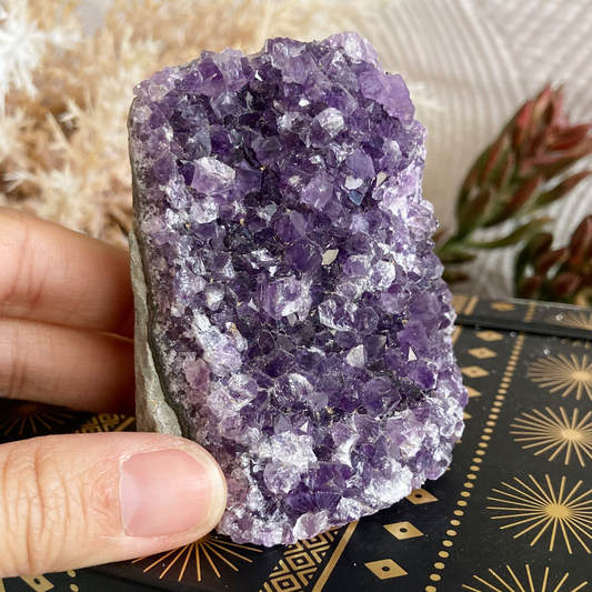 2.8" Amethyst Crystal Cluster #J