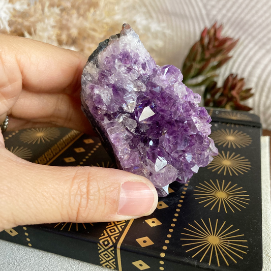 2.5" Amethyst Crystal Cluster #H
