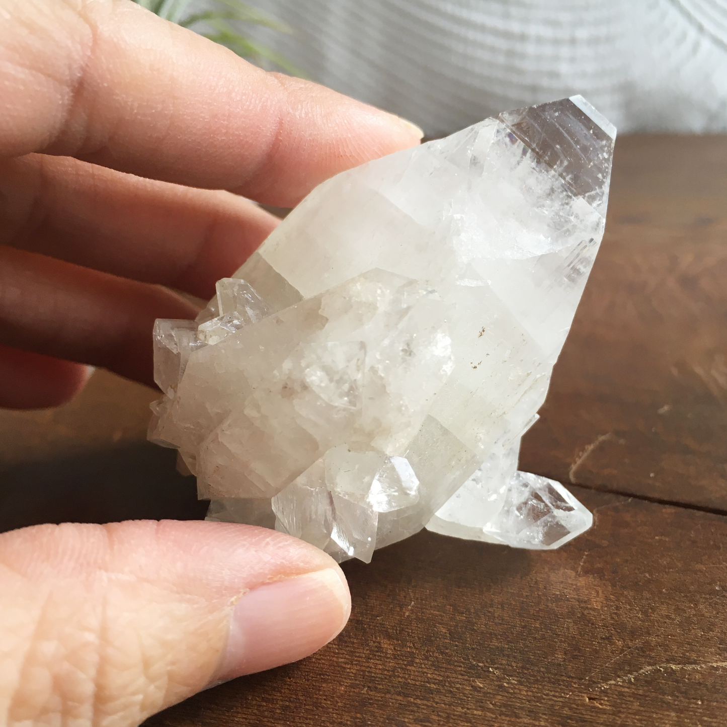 Clear Shiny Apophyllite Crystal Cluster 0F