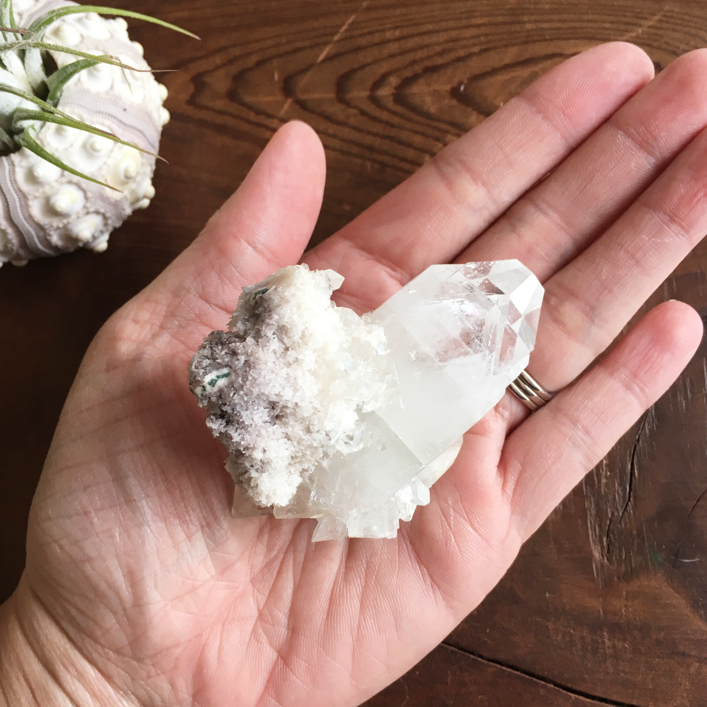 Clear Shiny Apophyllite Crystal Cluster 0F