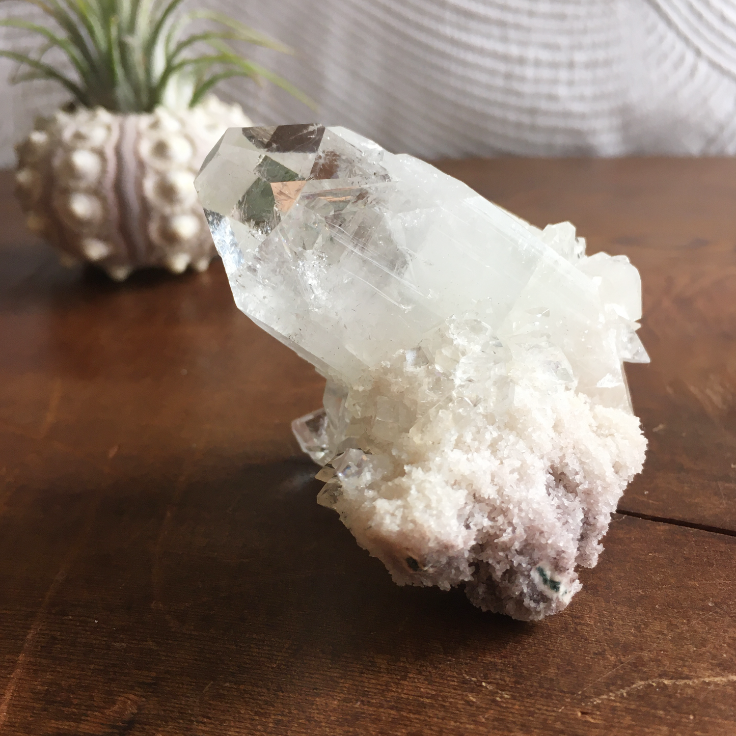 Clear Shiny Apophyllite Crystal Cluster 0F
