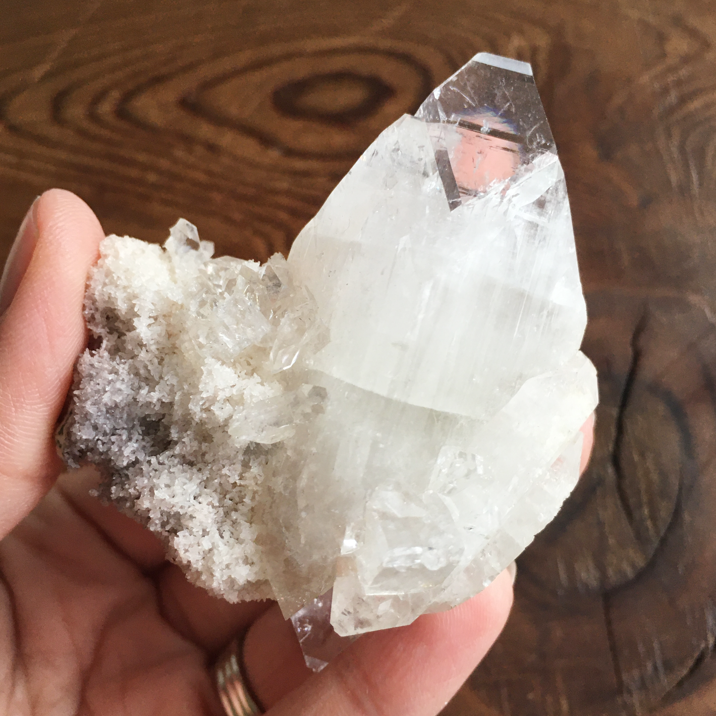 Clear Shiny Apophyllite Crystal Cluster 0F