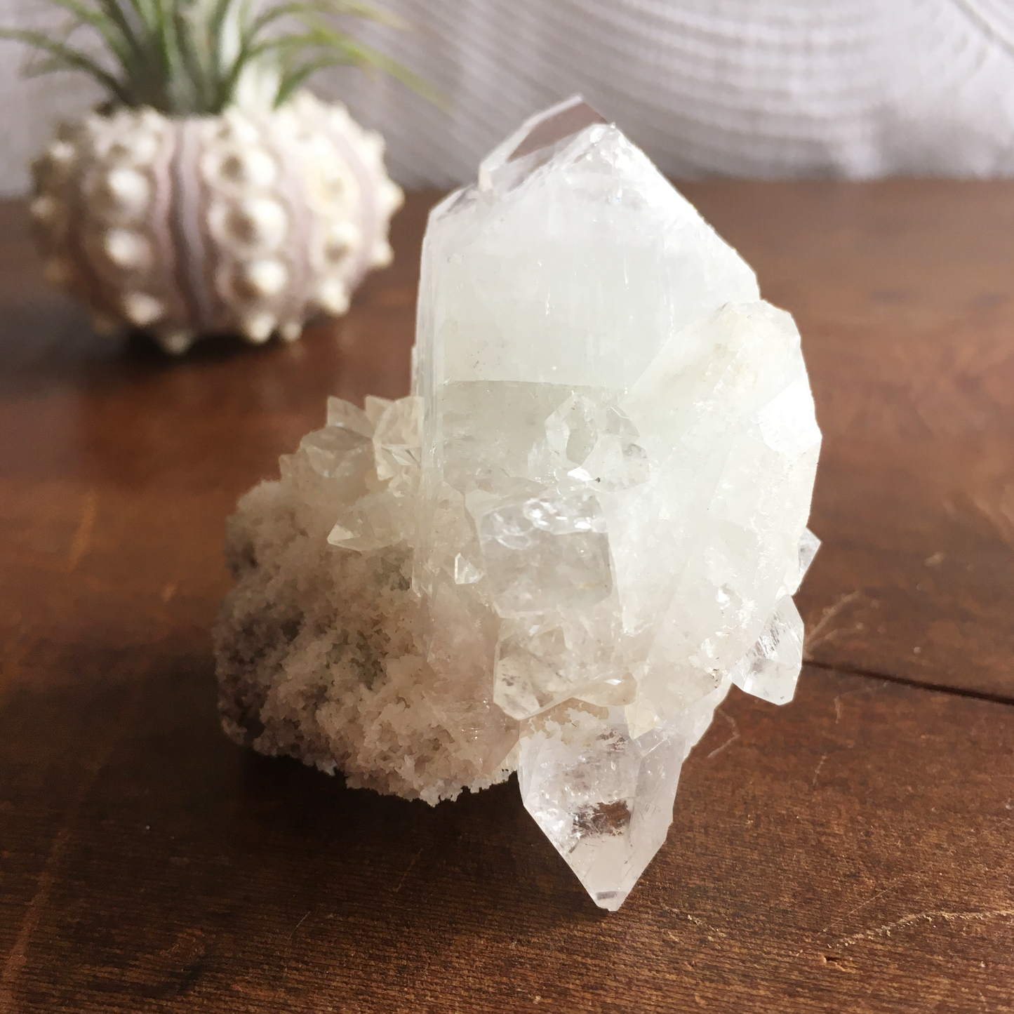 Clear Shiny Apophyllite Crystal Cluster 0F