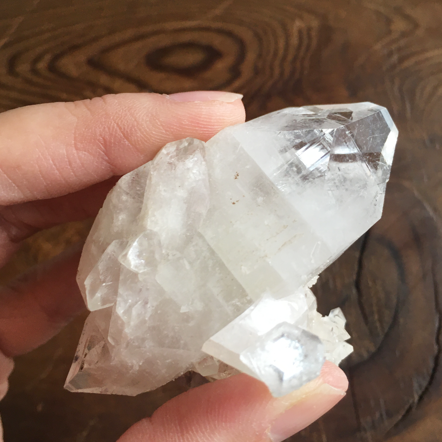 Clear Shiny Apophyllite Crystal Cluster 0F