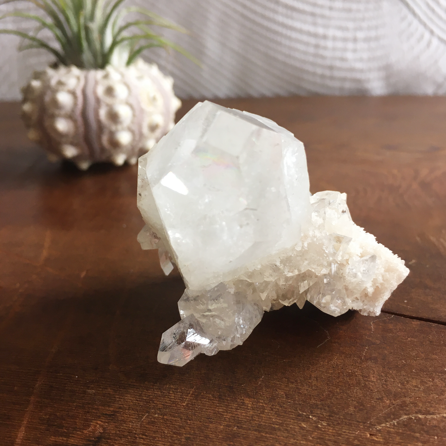 Clear Shiny Apophyllite Crystal Cluster 0F