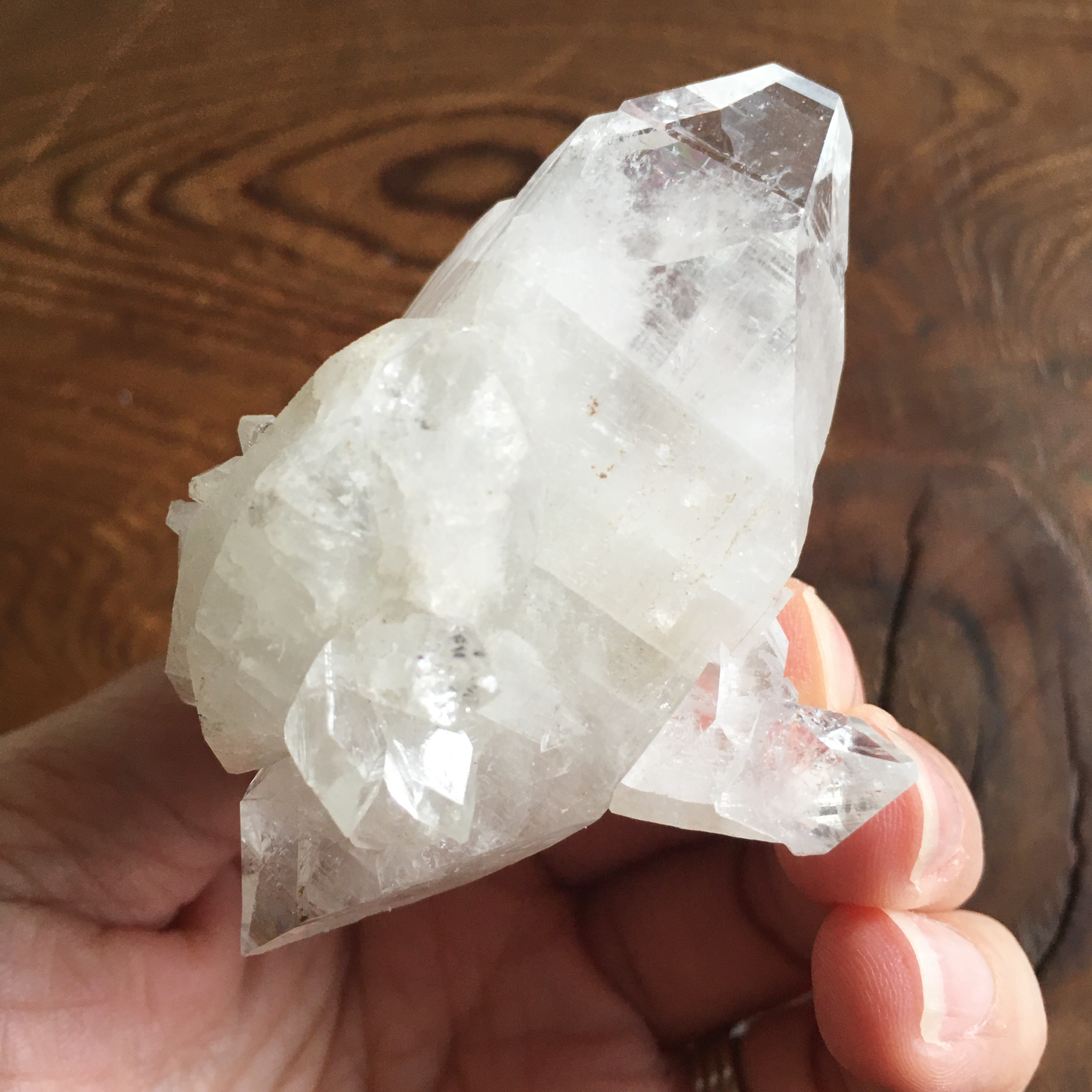 Clear Shiny Apophyllite Crystal Cluster 0F