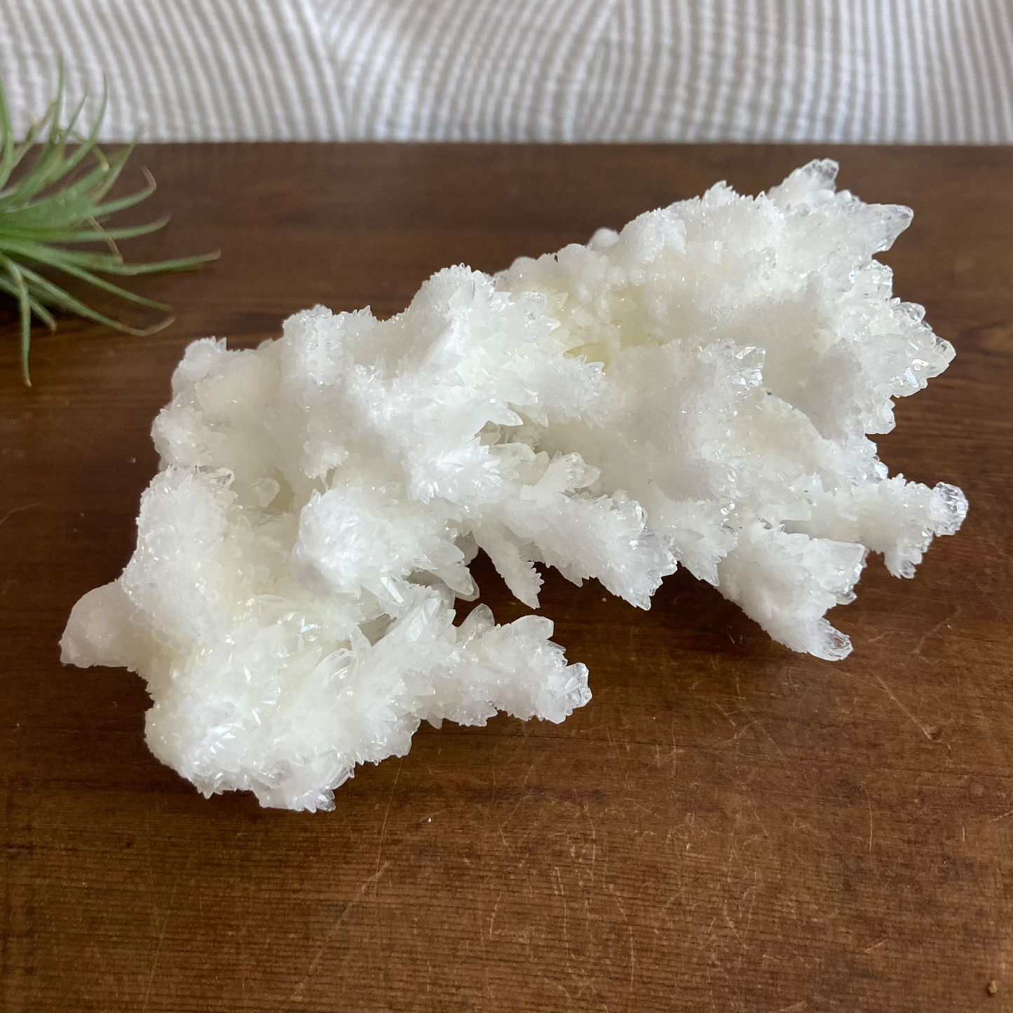 5.75" White Aragonite Calcite Cluster