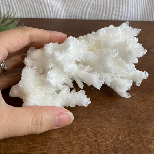 5.75" White Aragonite Calcite Cluster