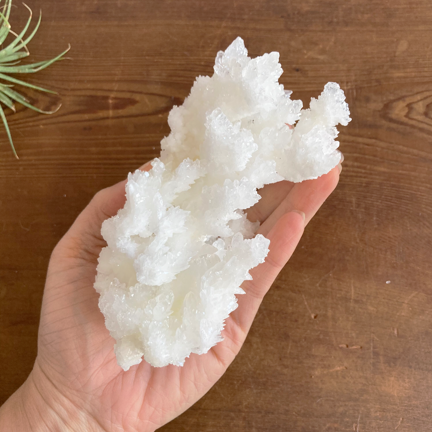 5.75" White Aragonite Calcite Cluster