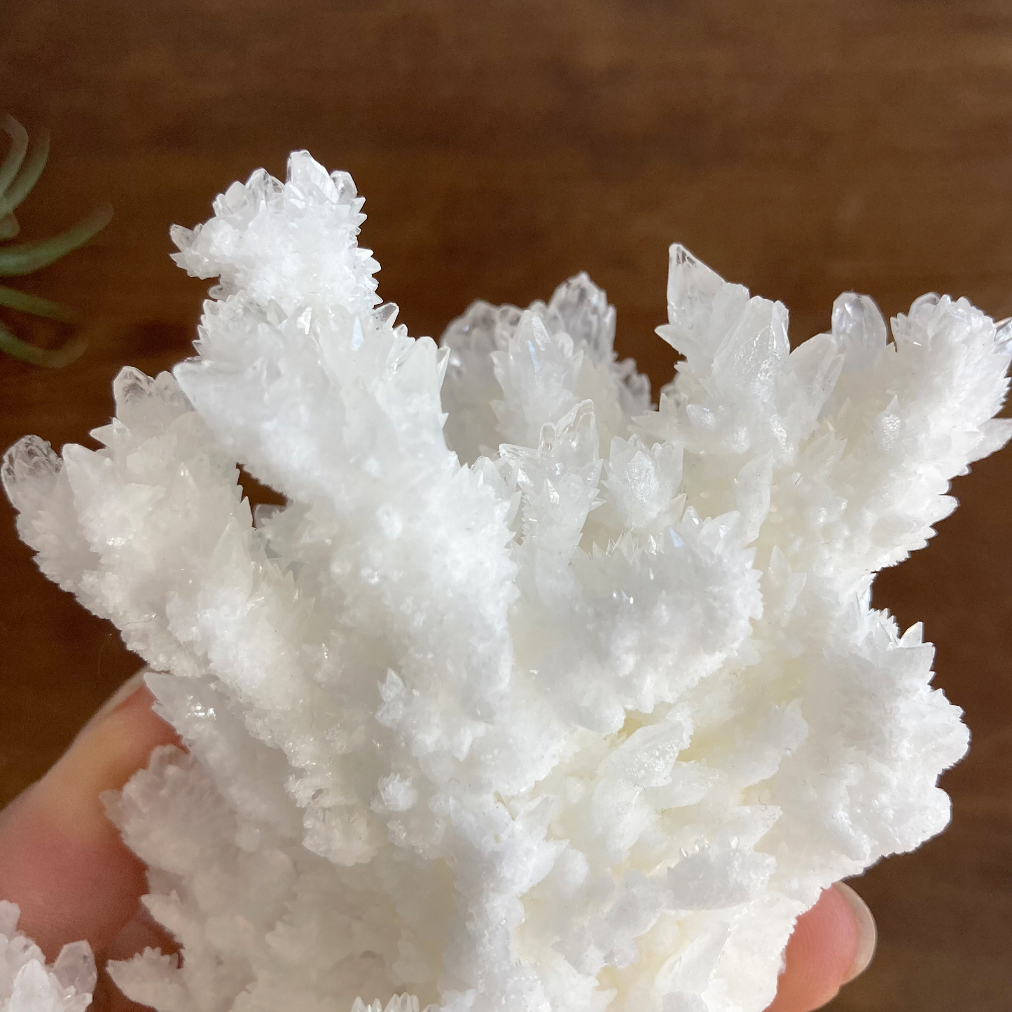 5.75" White Aragonite Calcite Cluster