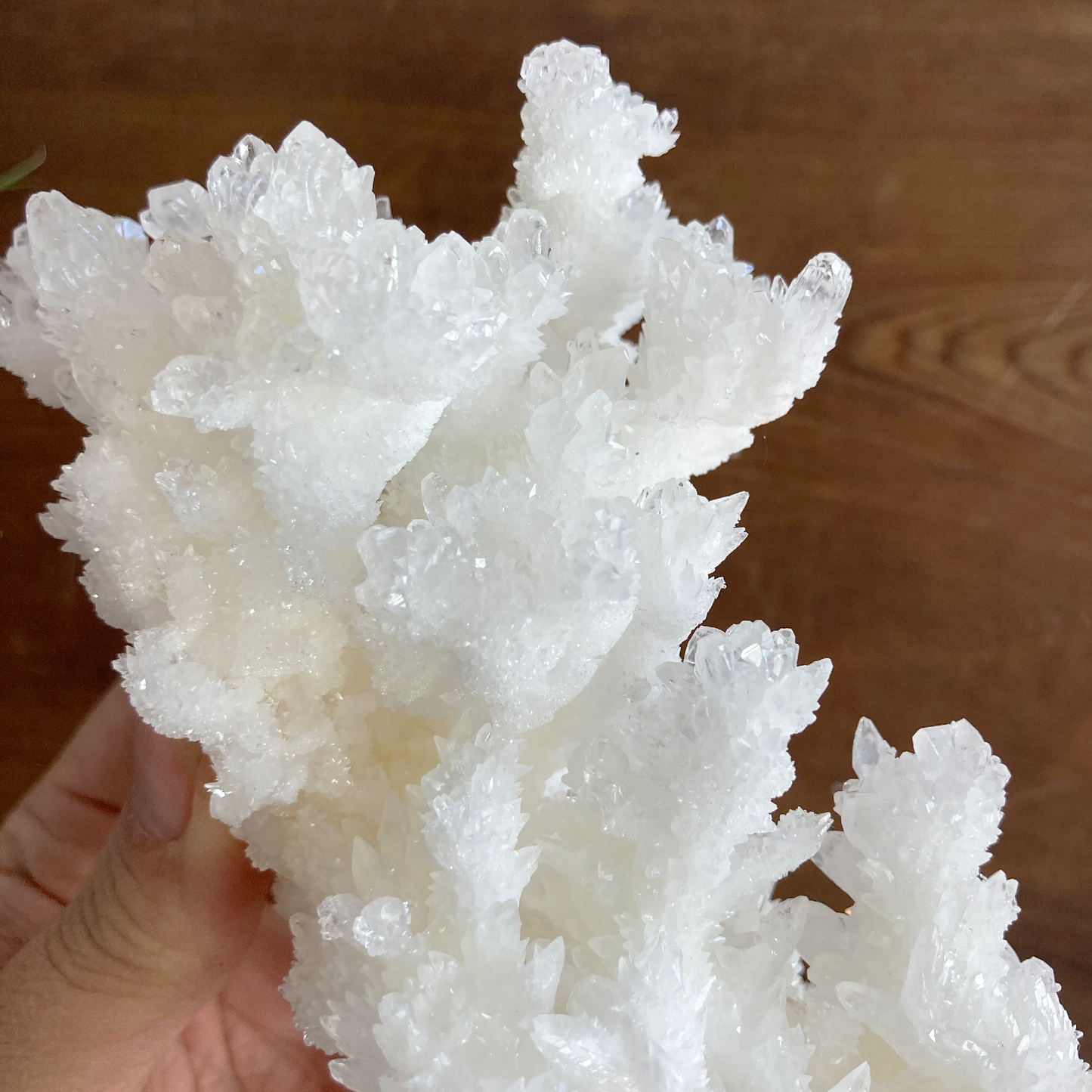 5.75" White Aragonite Calcite Cluster