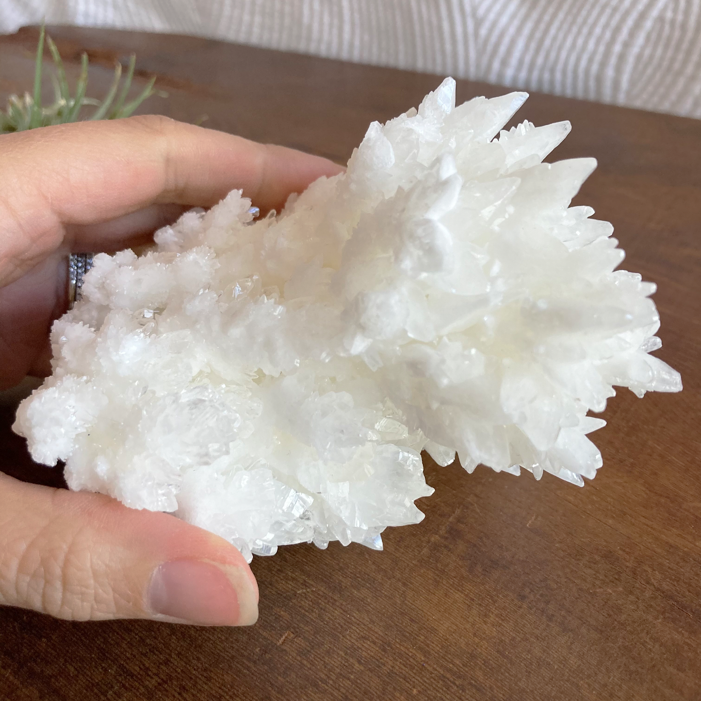 4.5" White Aragonite Calcite Cluster