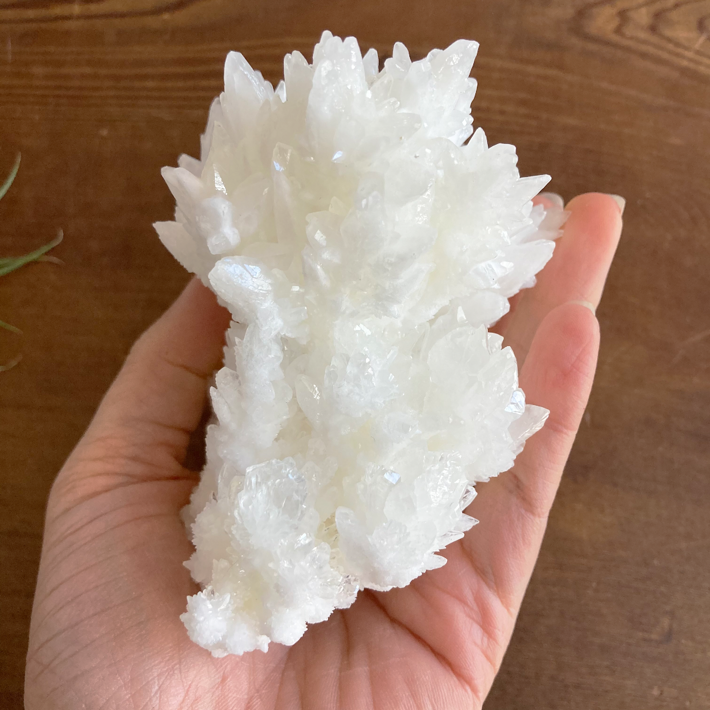 4.5" White Aragonite Calcite Cluster
