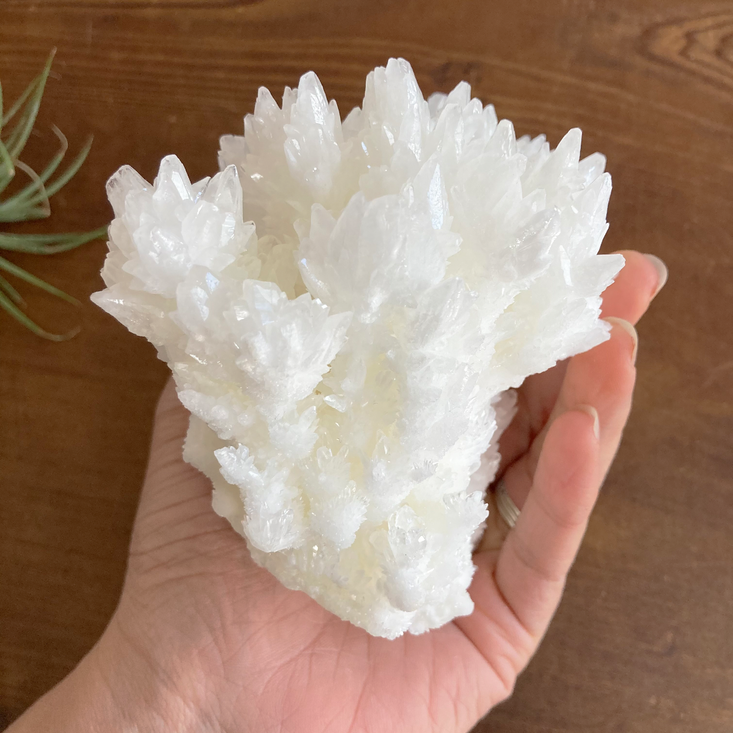 4.5" White Aragonite Calcite Cluster
