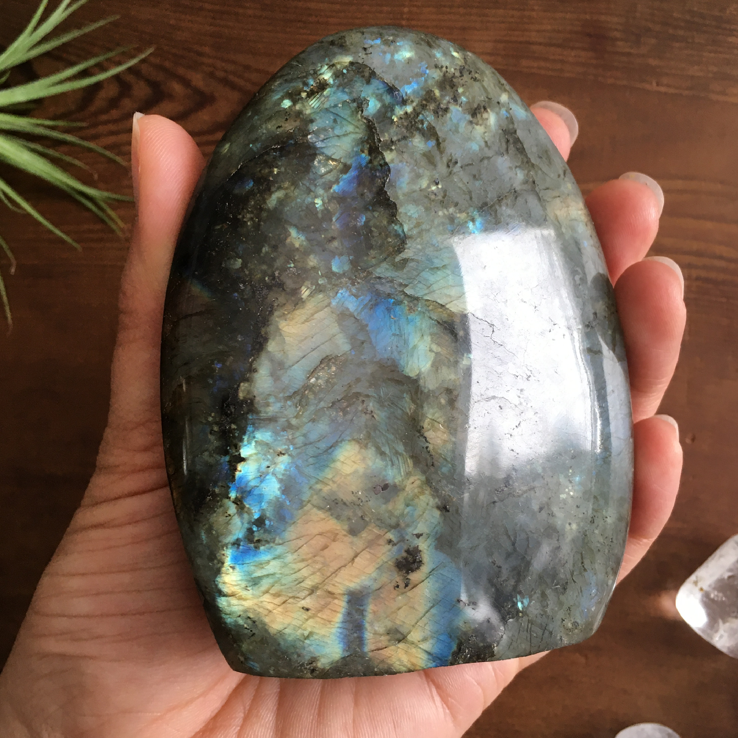 4" Polished Labradorite Free Form #0F