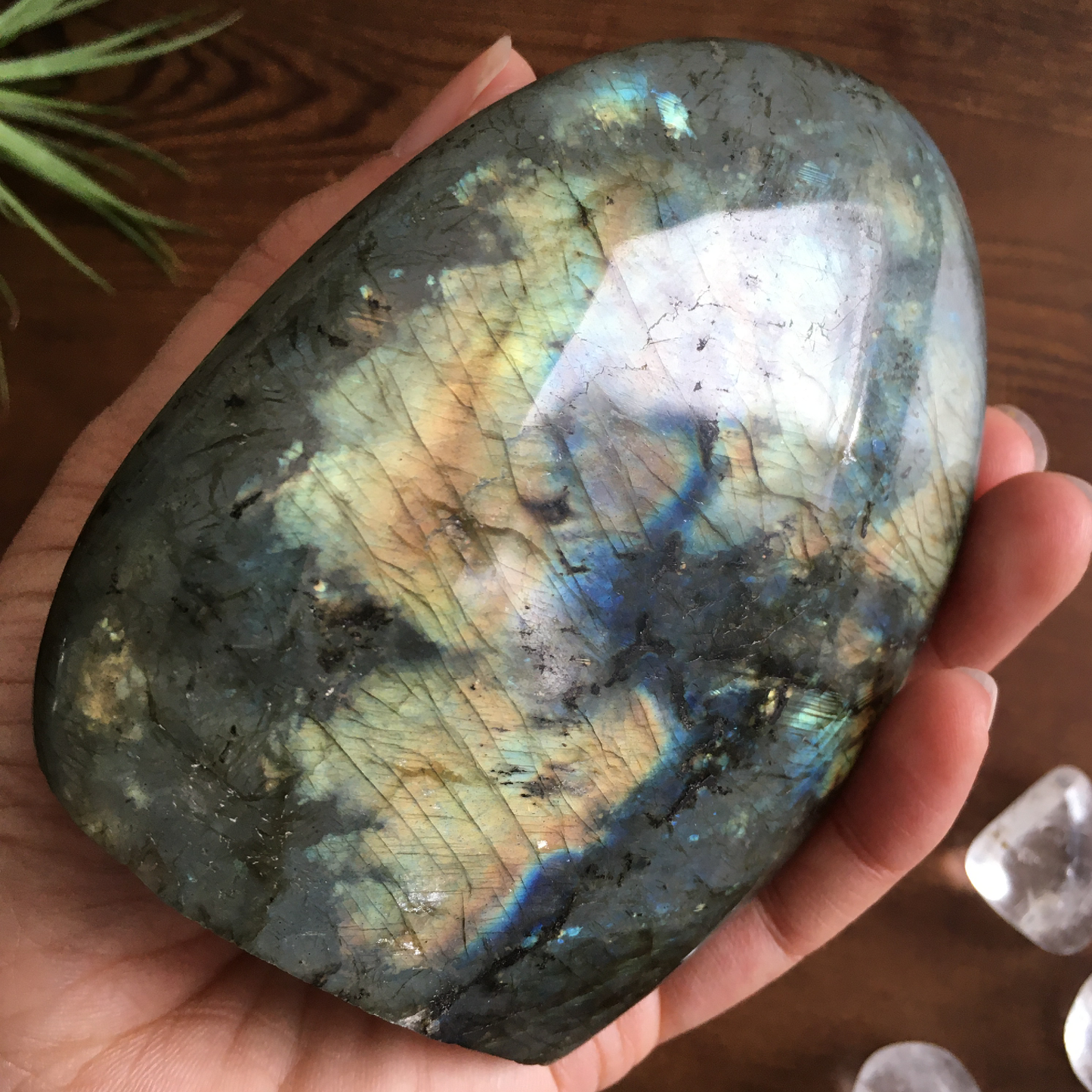 4" Polished Labradorite Free Form #0F