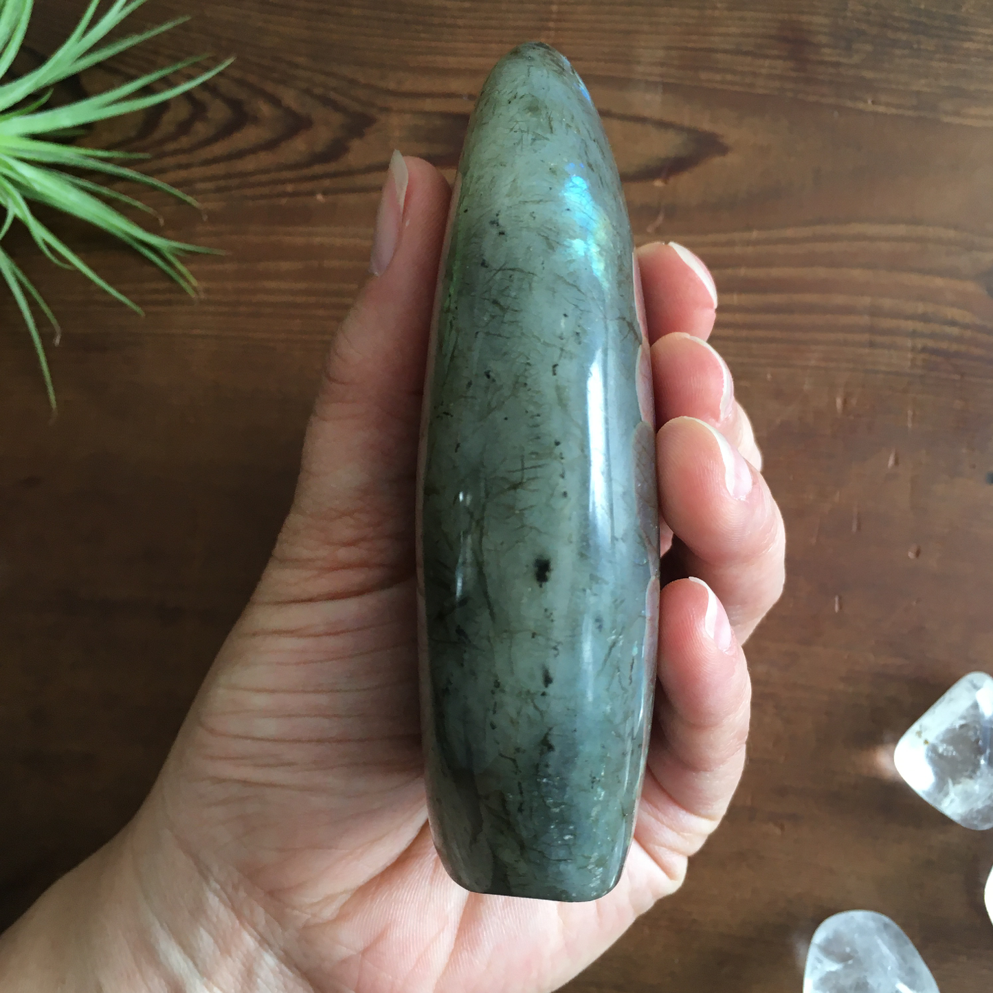 4" Polished Labradorite Free Form #0F
