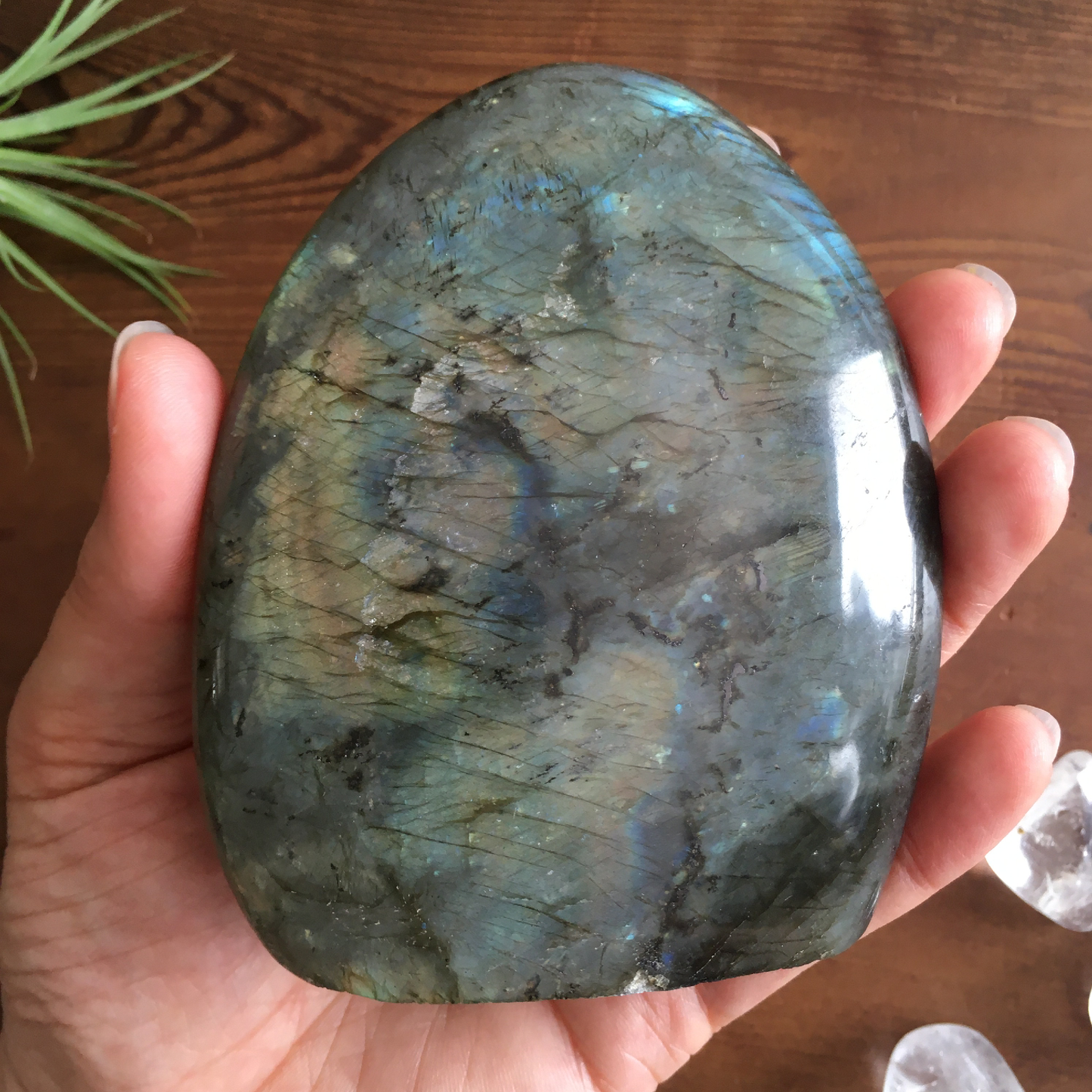 4" Polished Labradorite Free Form #0F