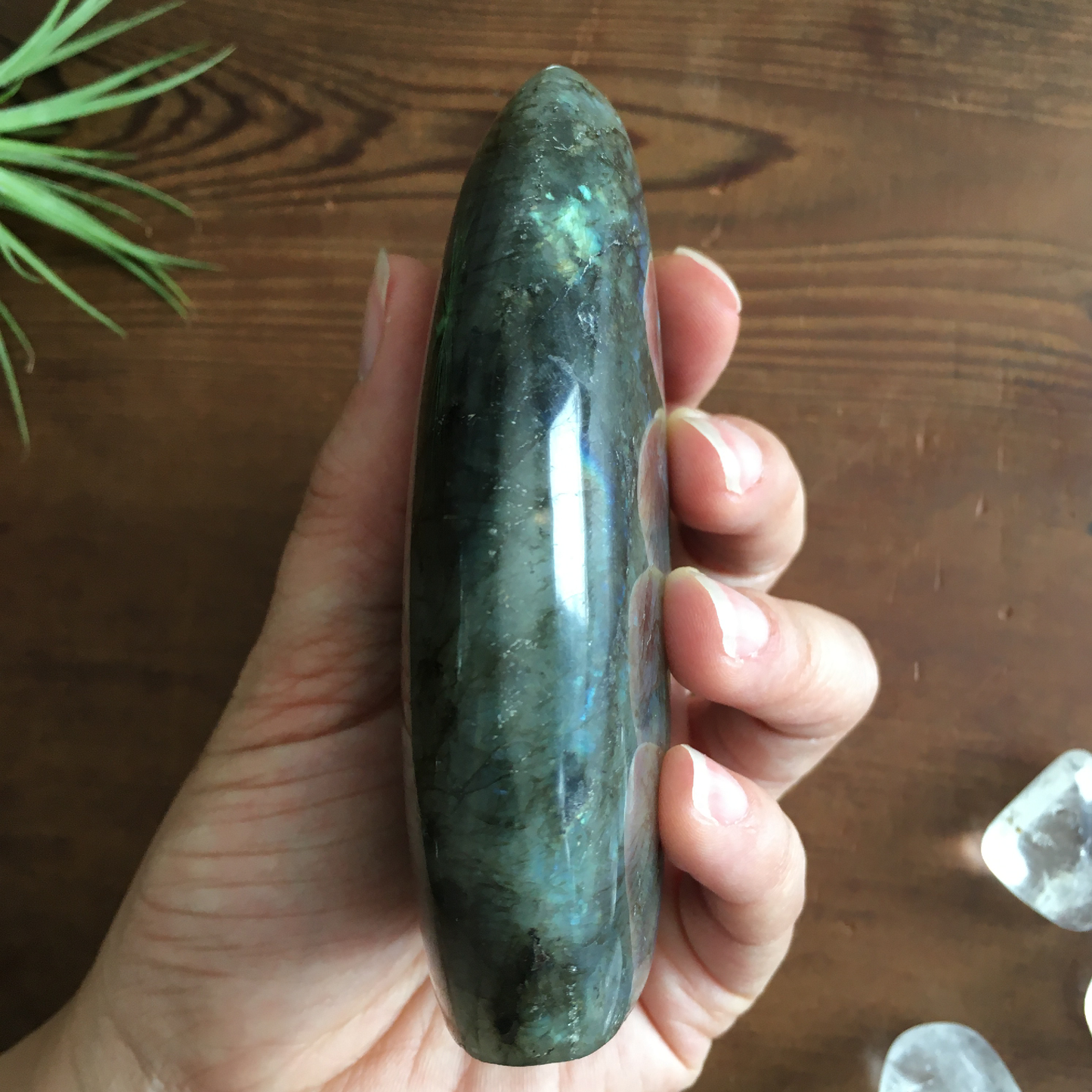 4" Polished Labradorite Free Form #0F