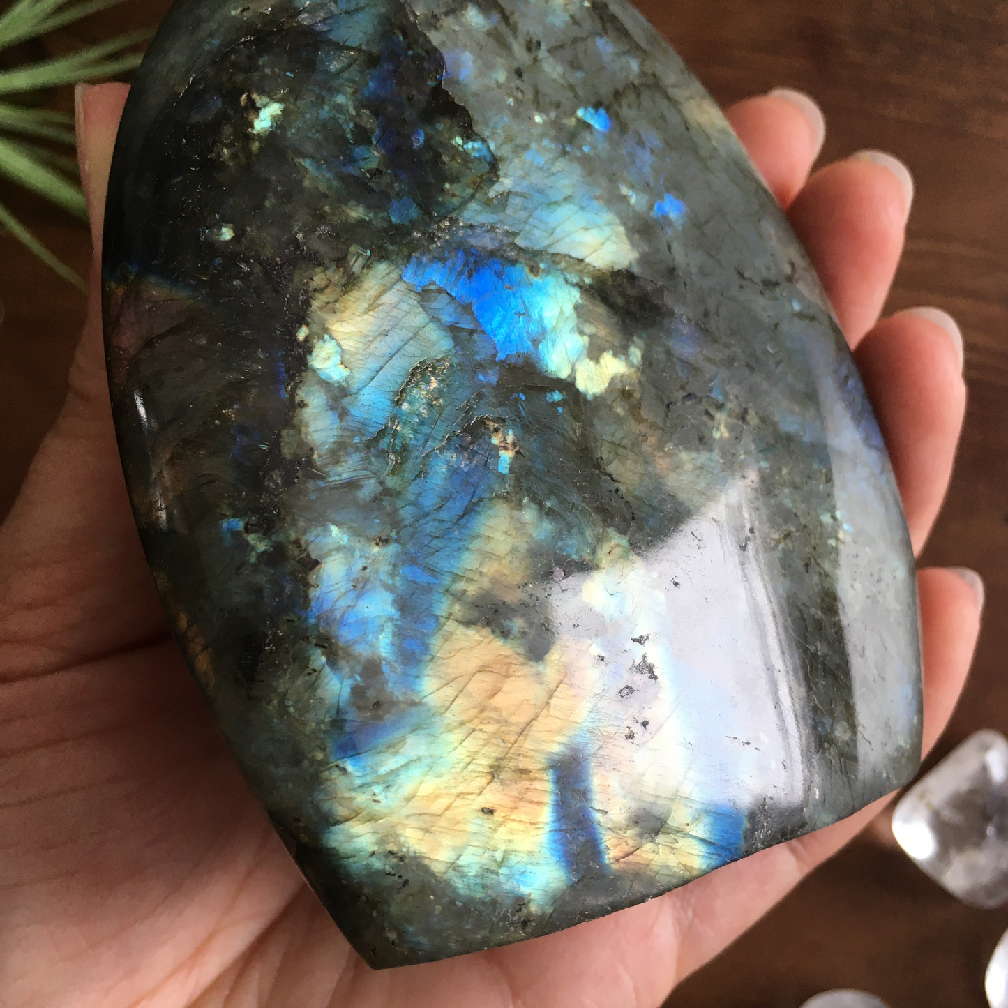 4" Polished Labradorite Free Form #0F