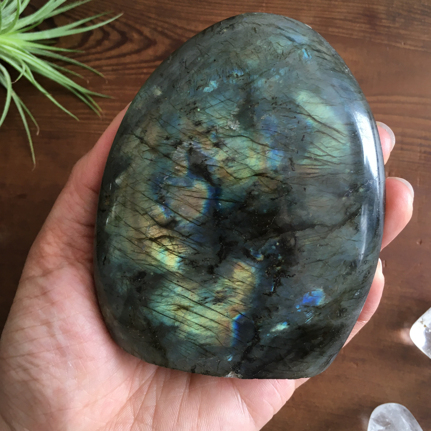 4" Polished Labradorite Free Form #0F