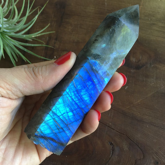 4.4" Polished Labradorite Point #0D