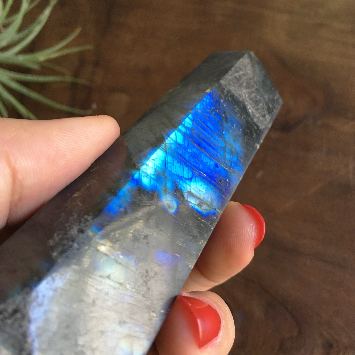 4.4" Polished Labradorite Point #0D