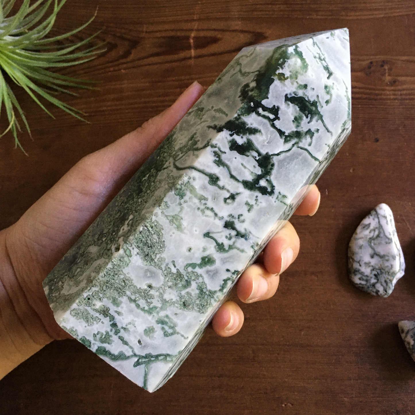 6" Moss Agate Tower #0A