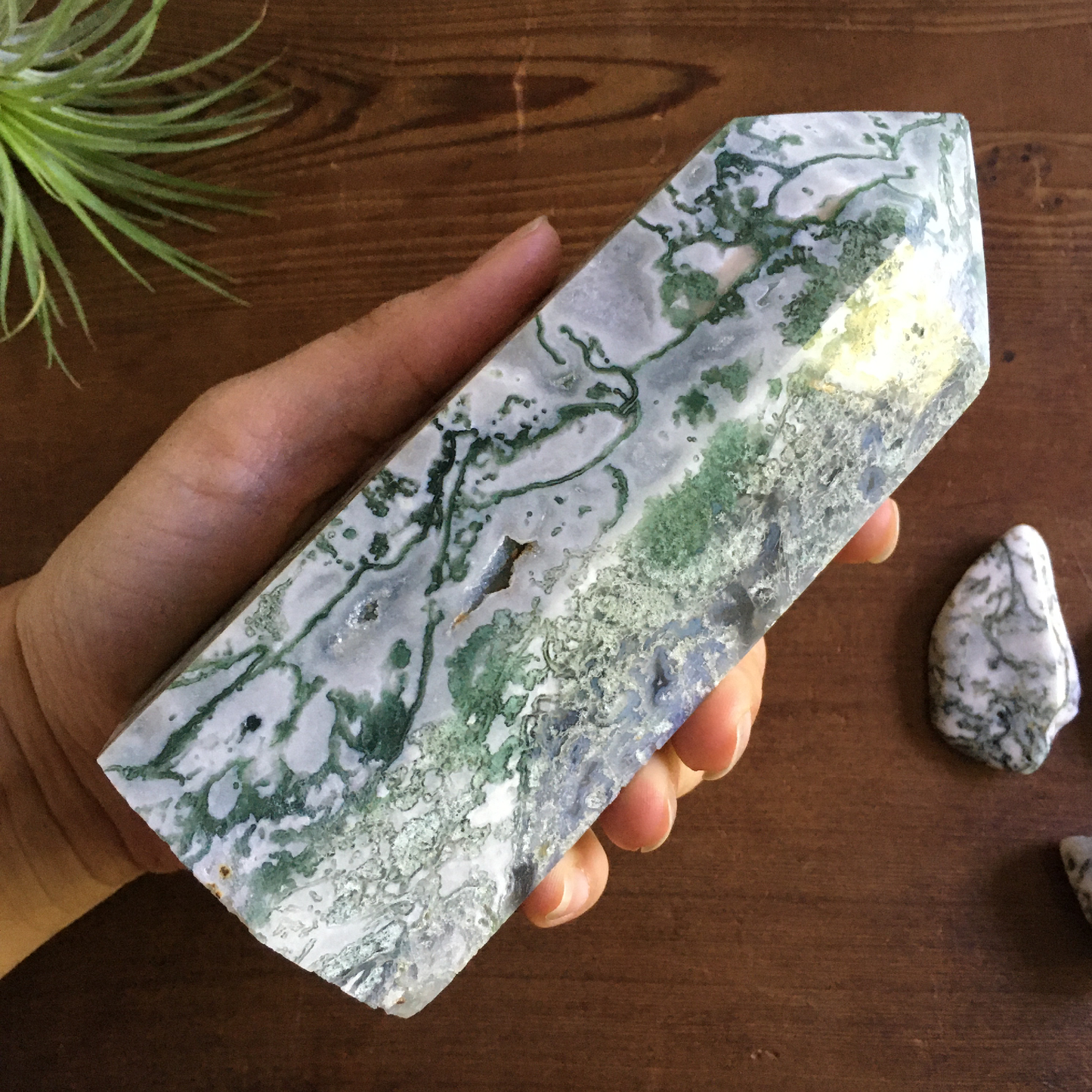 6" Moss Agate Tower #0A