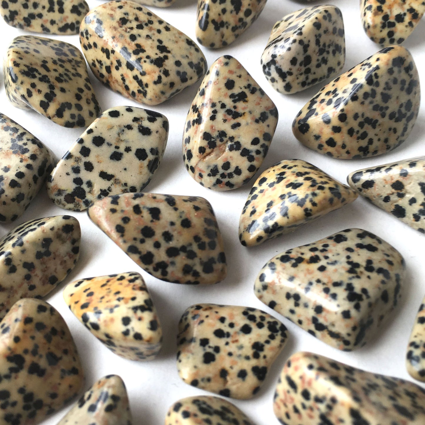 Dalmatian Jasper Tumbled Pocket Stone