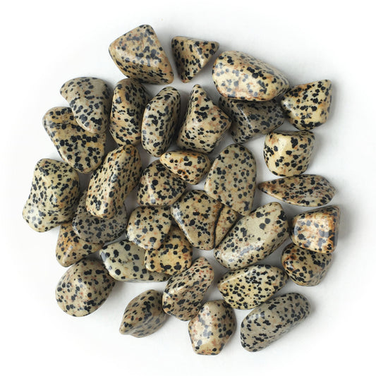 Dalmatian Jasper Tumbled Pocket Stone
