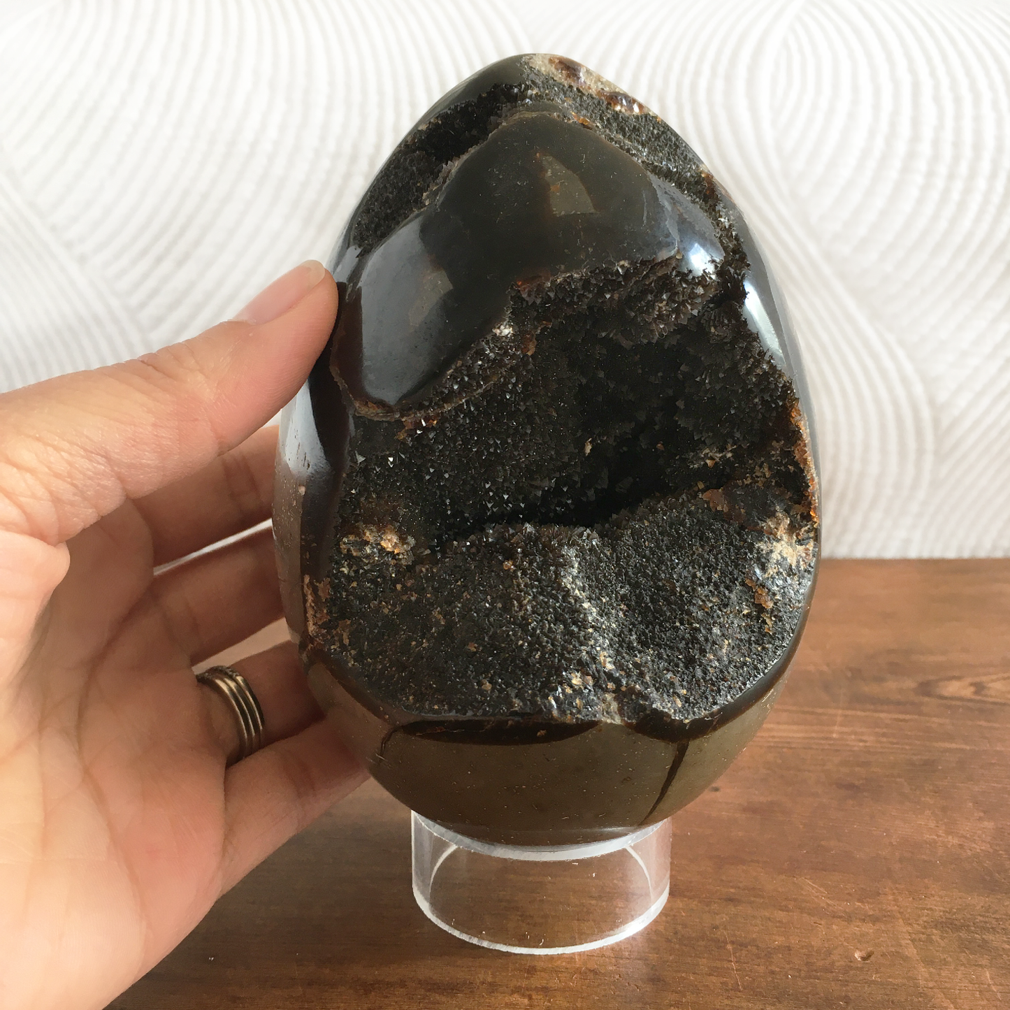 5" Black Druzy Septarian Egg #0A