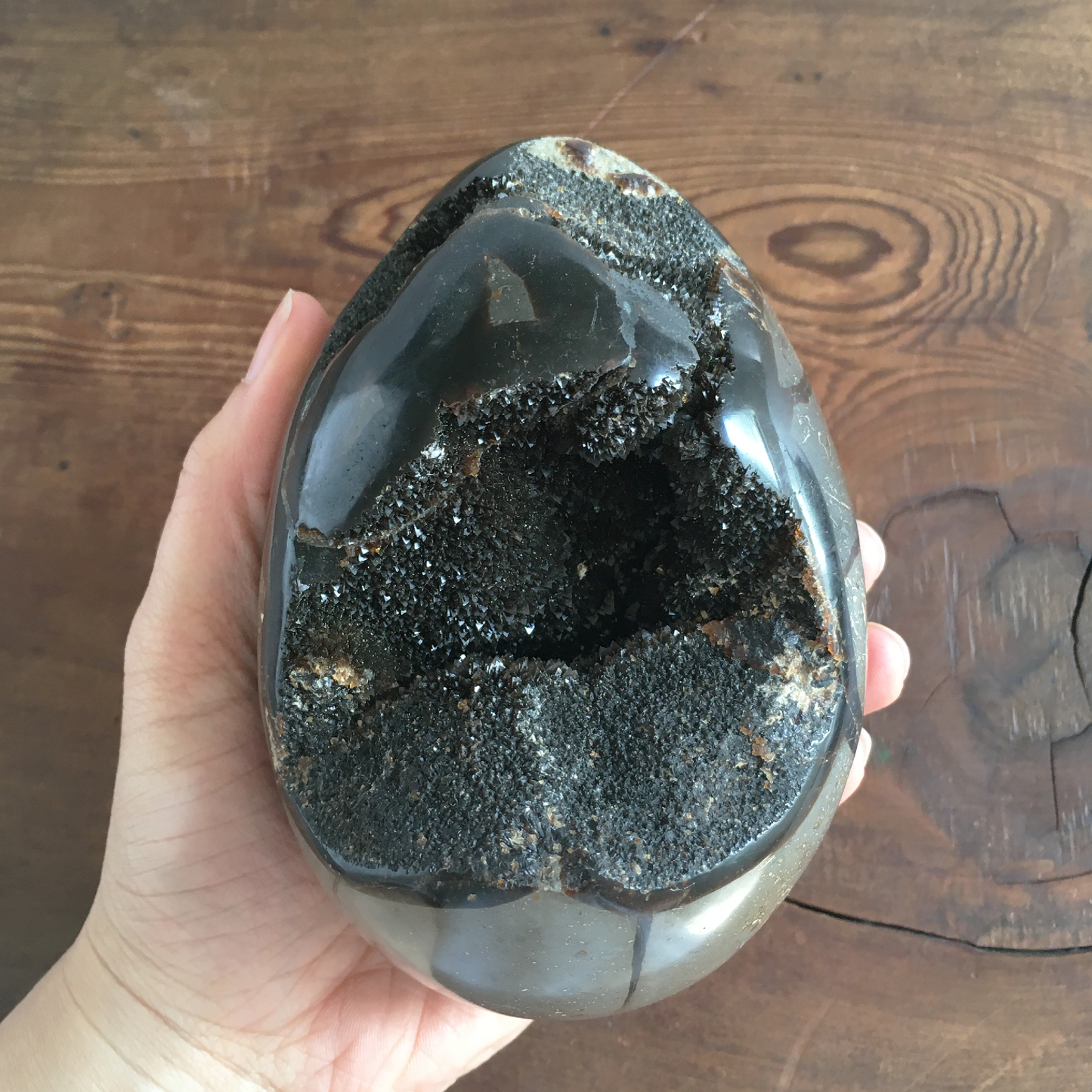 5" Black Druzy Septarian Egg #0A