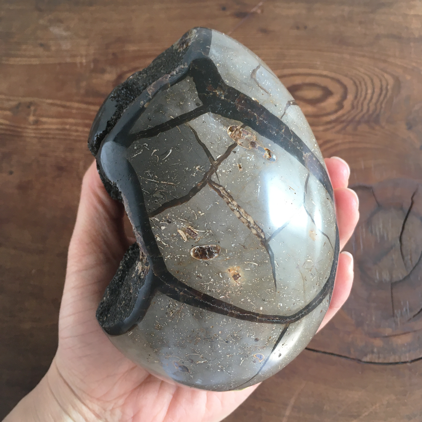 5" Black Druzy Septarian Egg #0A