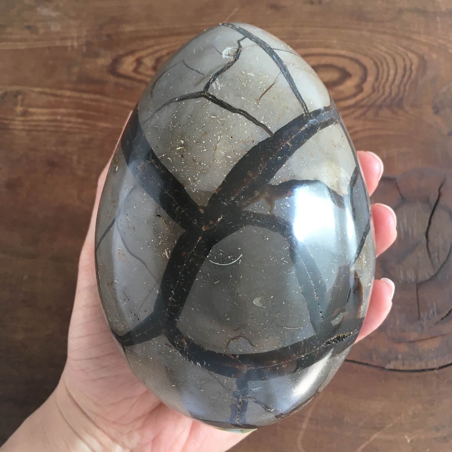 5" Black Druzy Septarian Egg #0A