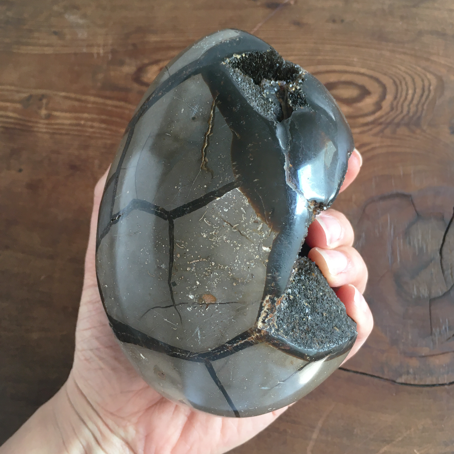 5" Black Druzy Septarian Egg #0A