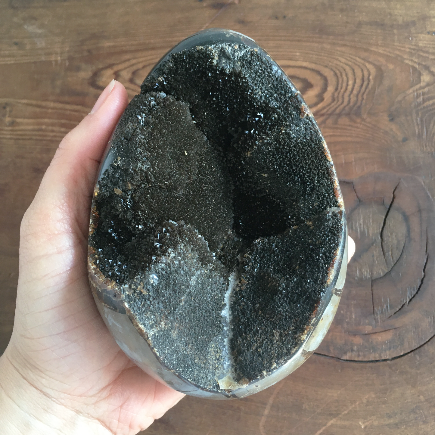 5" Black Druzy Septarian Egg #0B