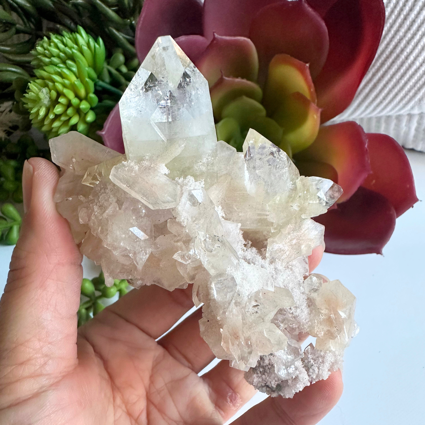 Large Point Clear Apophyllite DT Crystal Cluster