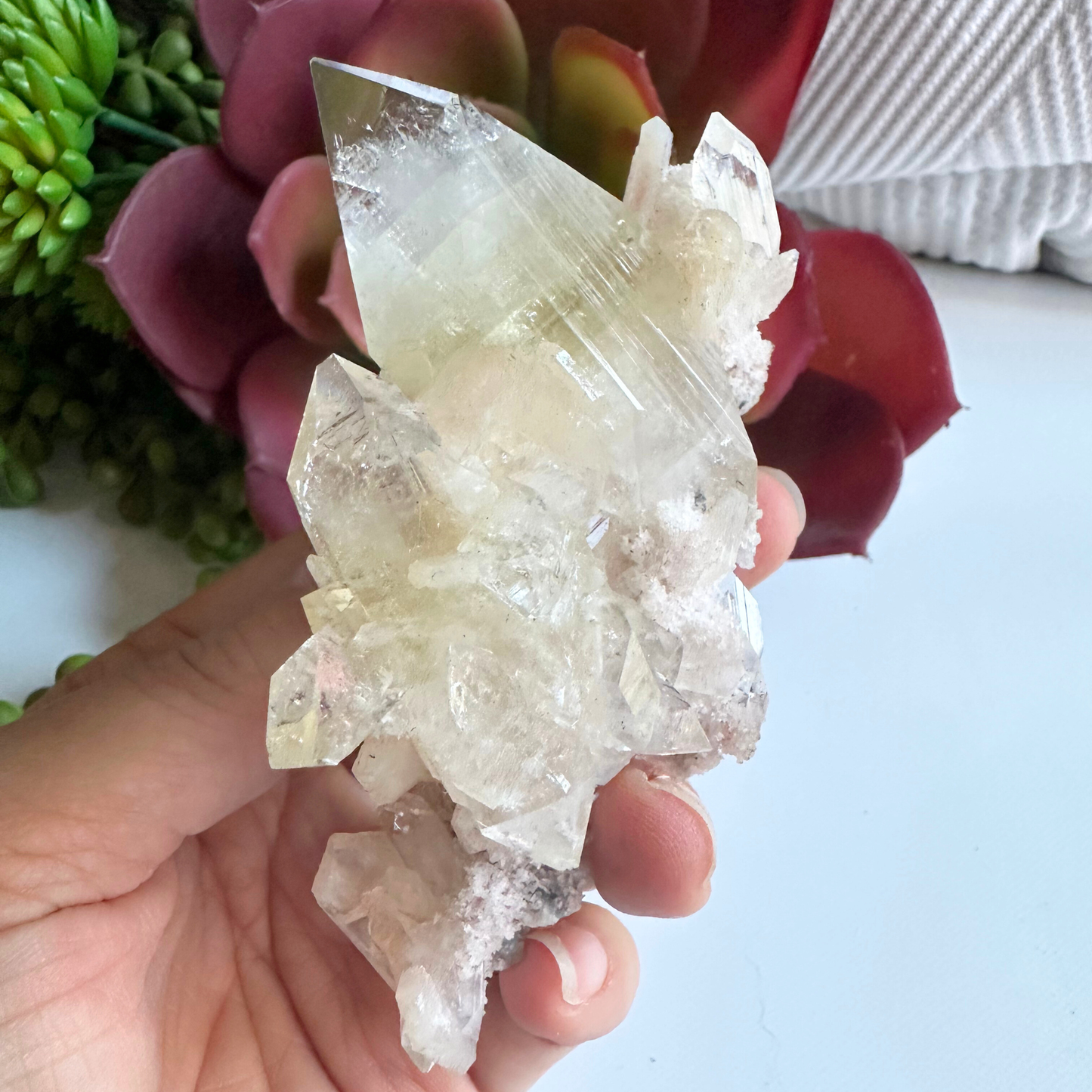 Large Point Clear Apophyllite DT Crystal Cluster
