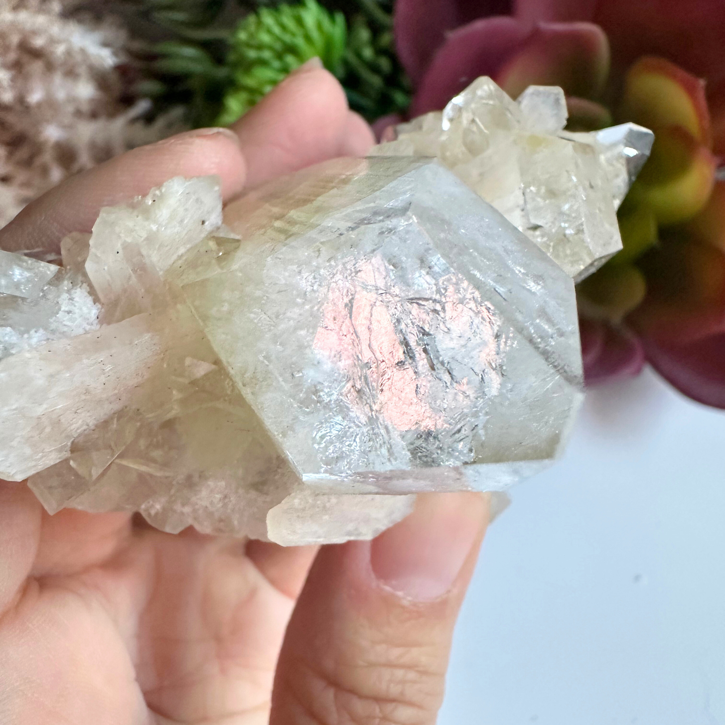 Large Point Clear Apophyllite DT Crystal Cluster