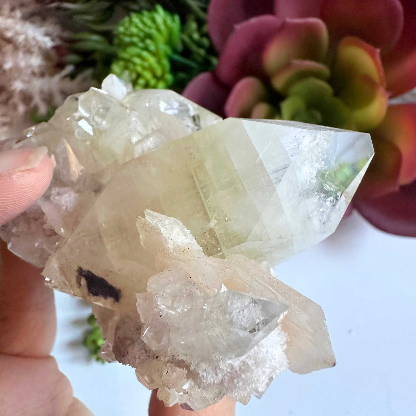 Large Point Clear Apophyllite DT Crystal Cluster