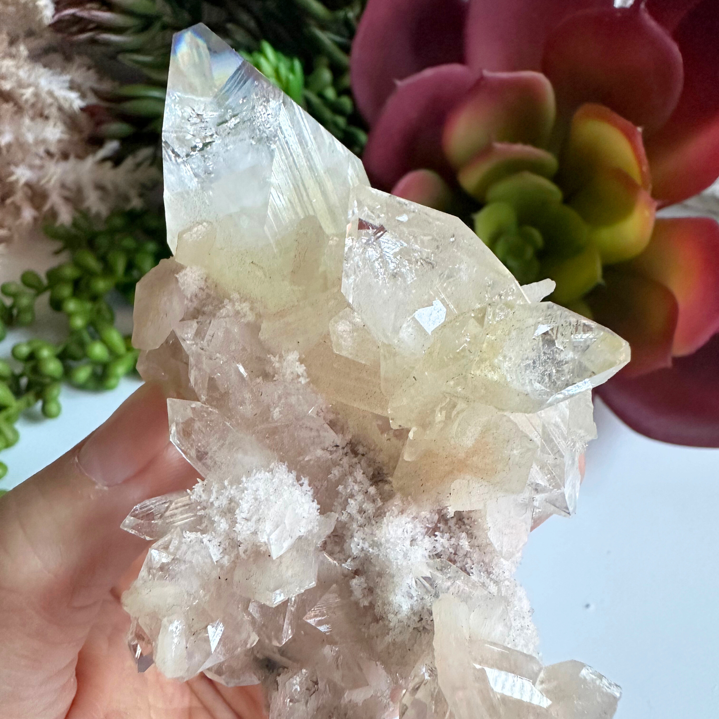 Large Point Clear Apophyllite DT Crystal Cluster