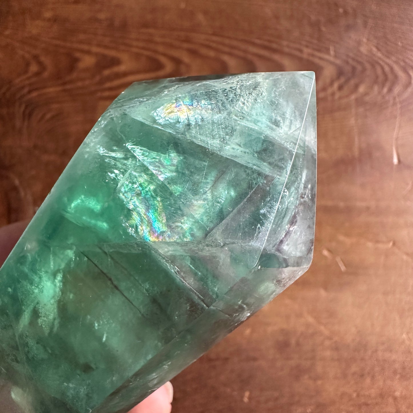 5.5" Double Terminated Clear Green and Purple Fluorite