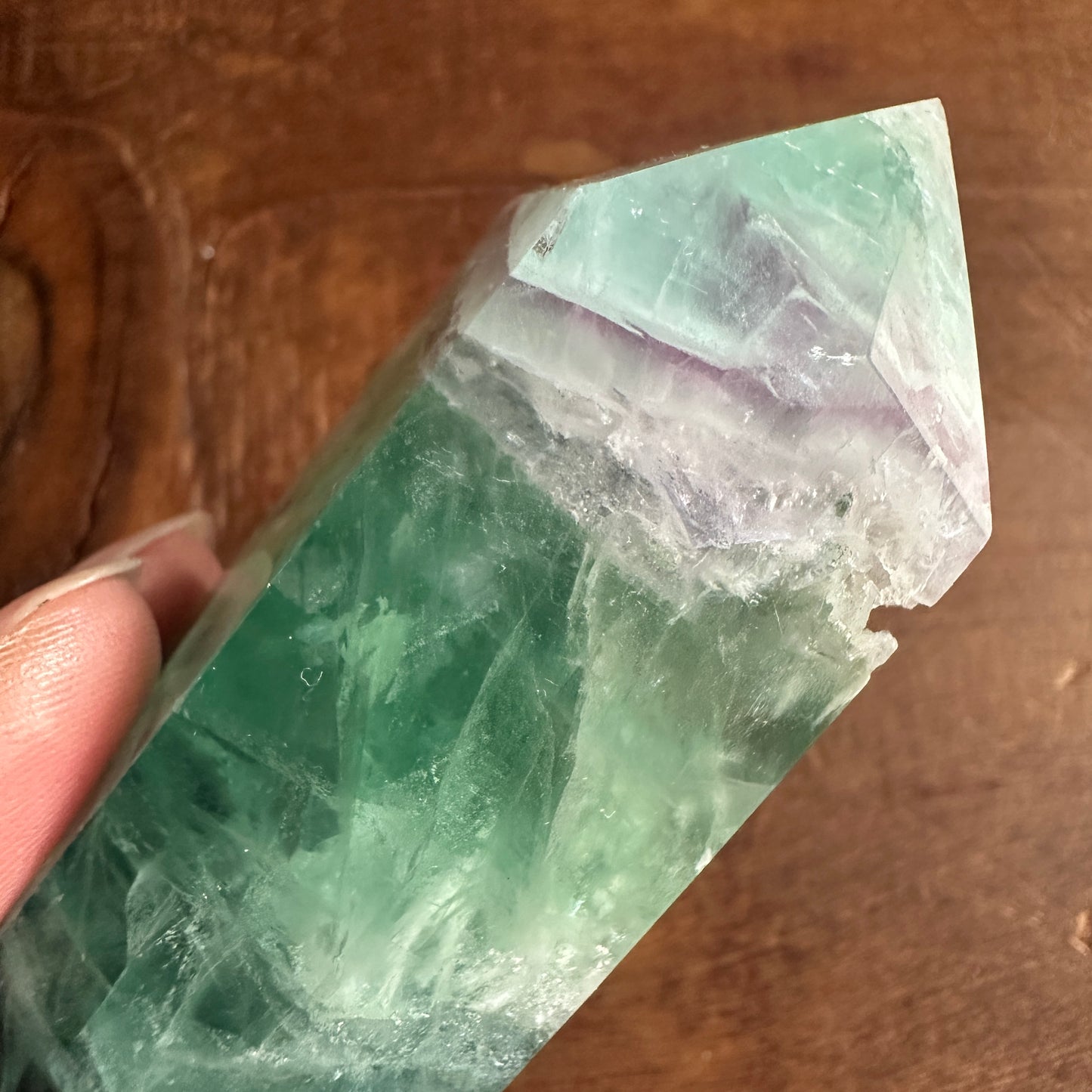 5.5" Double Terminated Clear Green and Purple Fluorite