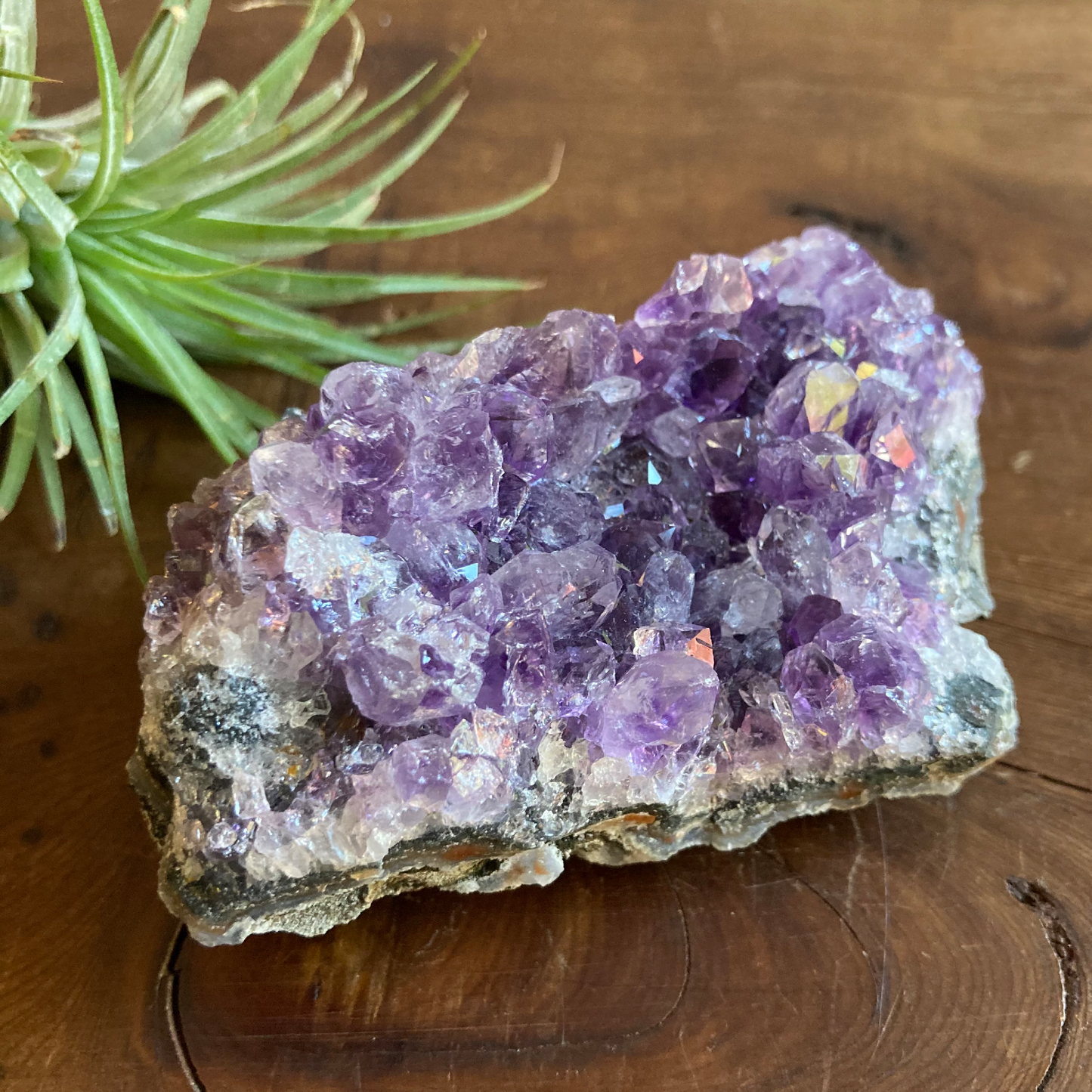 3.25" Purple Amethyst Cluster #0J