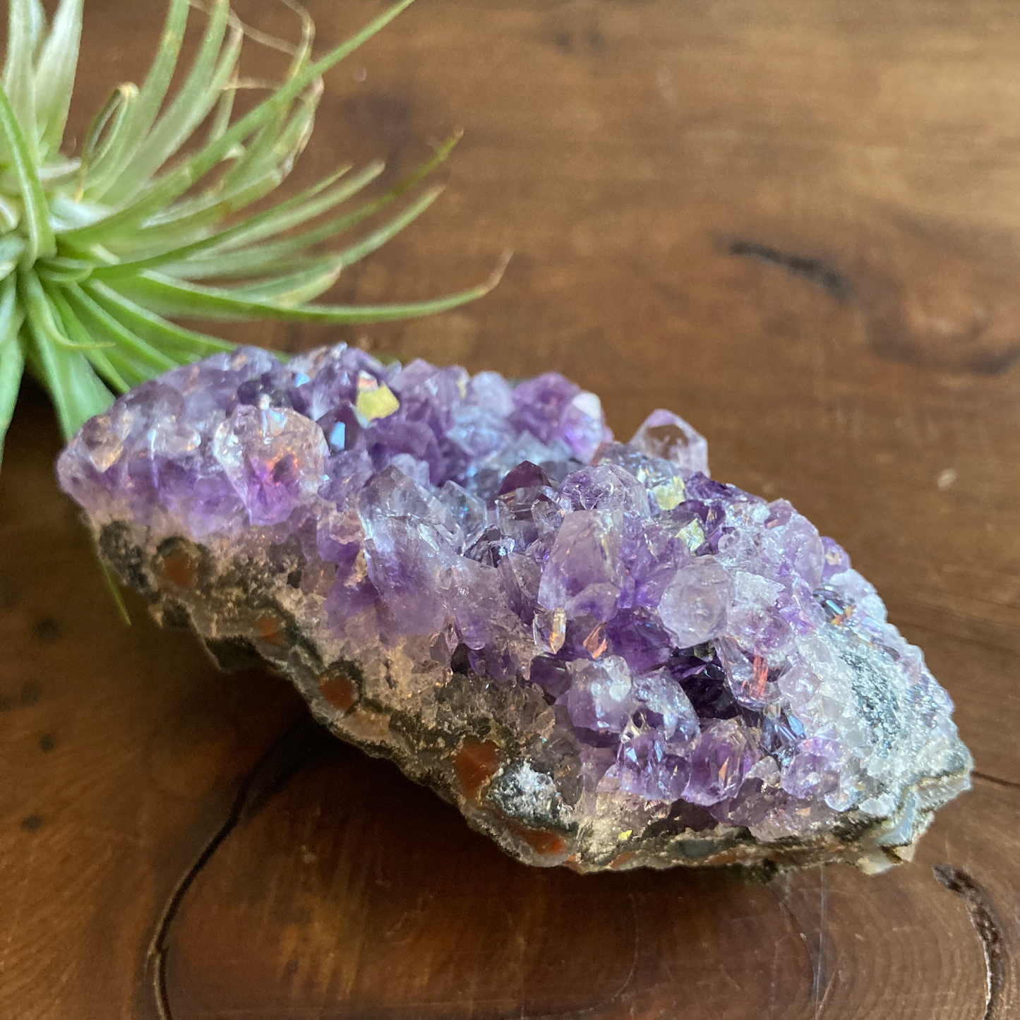3.25" Purple Amethyst Cluster #0J