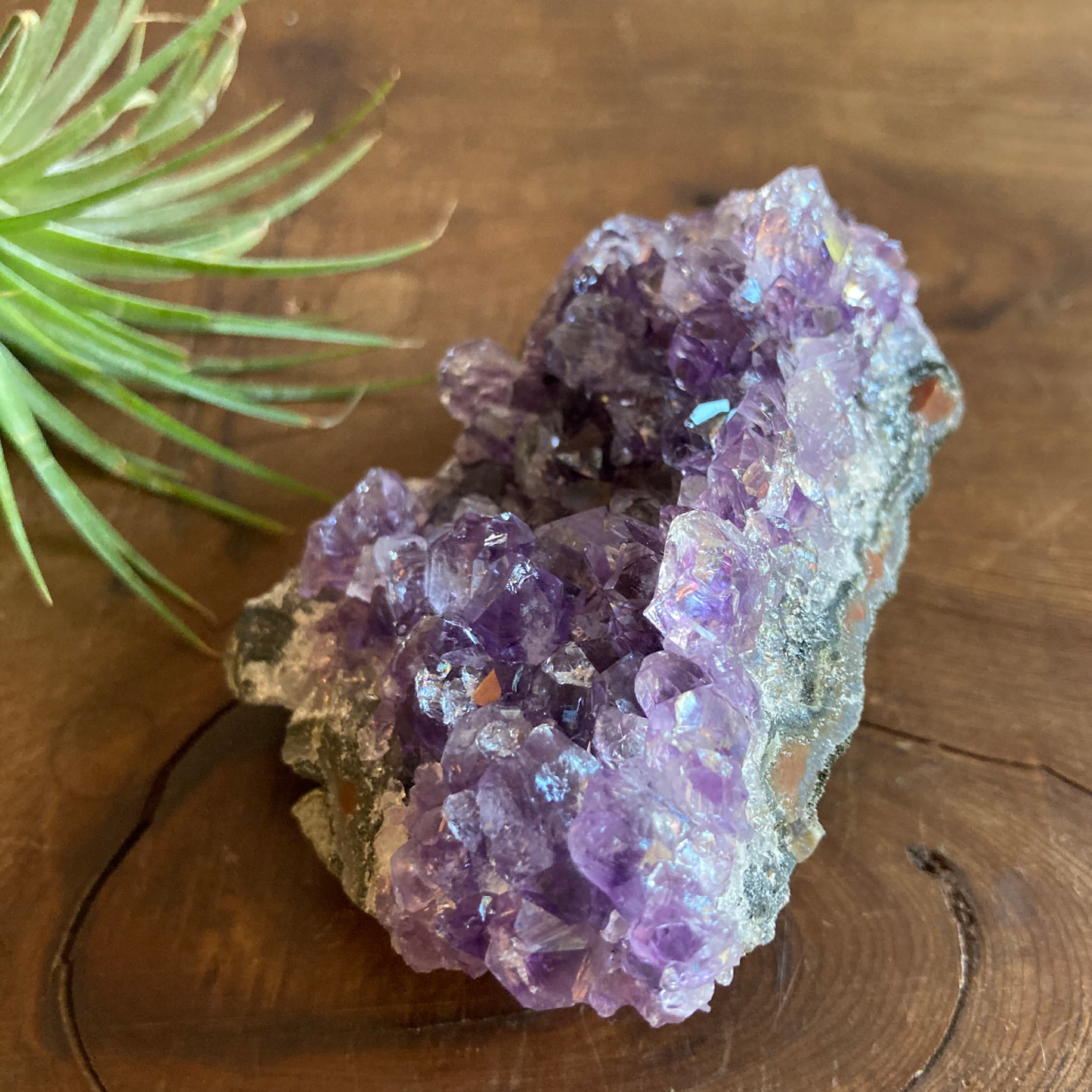 3.25" Purple Amethyst Cluster #0J