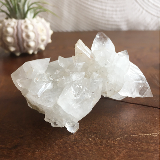 Clear Shiny Apophyllite Crystal Cluster 0E