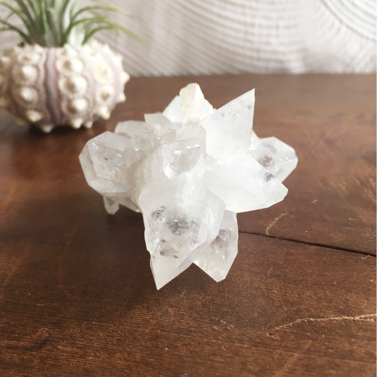 Clear Shiny Apophyllite Crystal Cluster 0E